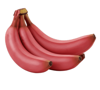 Red Banana(4 pic)