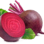 sample beetroot
